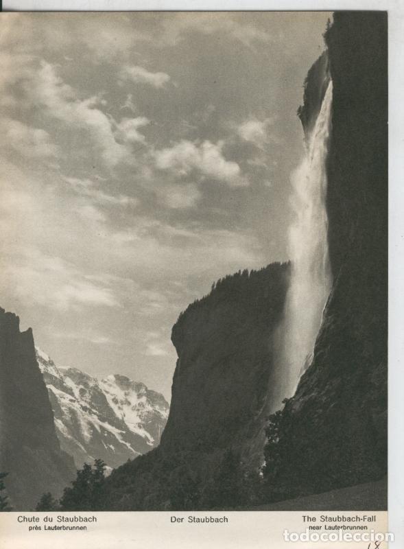Postkarten: Berner Oberland: Chute du Staubbach - Varios