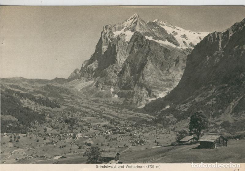 Cartoline: Berner Oberland: Grindelwald und Wetterhorn - Varios