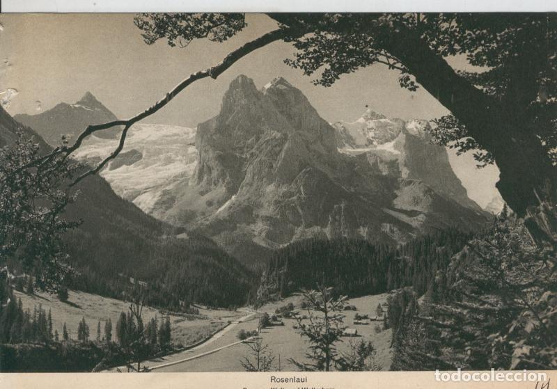 Postales: Berner Oberland: Rosenlaui - Varios