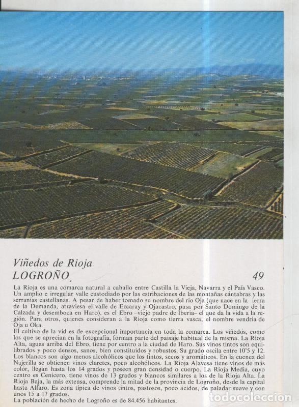 Postcards: Laboratorio Emyfar S.L.: Imagen 049: Vi&ntilde;edos de Rioja en Logro&ntilde;o - Varios