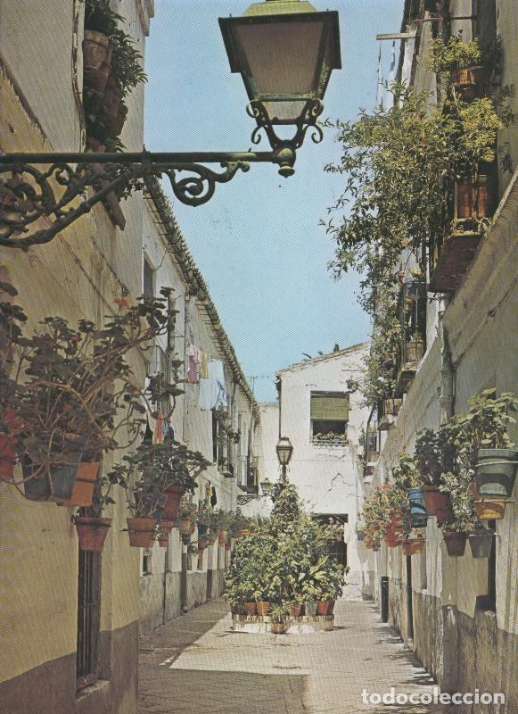 Postkarten: Calle tipica de Malaga - Varios