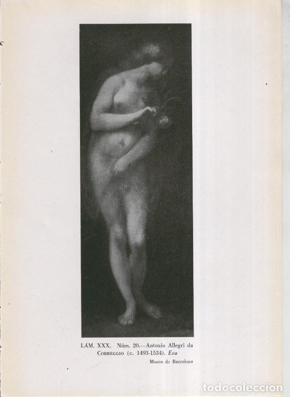 Postkarten: La coleccion Cambo, lamina 30: Antonio Allegri da Correggio: Eva - F.J.Sanchez Canton