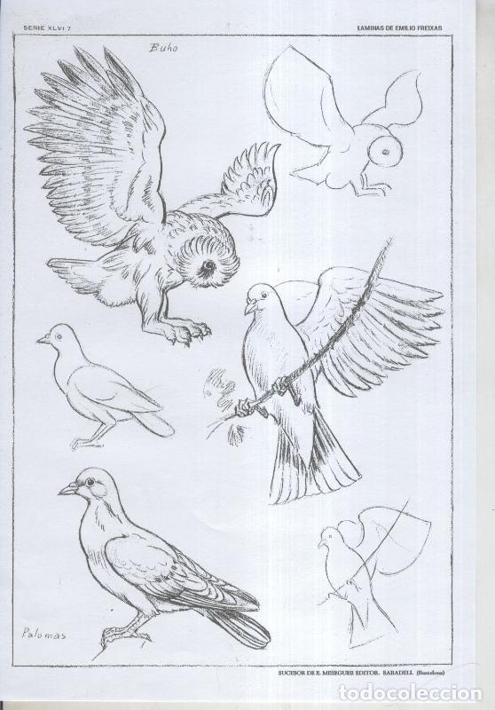 Cartoline: Emilio Freixas serie 46 lamina 07 - Varios