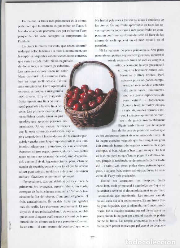 Postales: Josep Pla: El que hem menjat: fasciculo pagina 257 a 272 - Varios