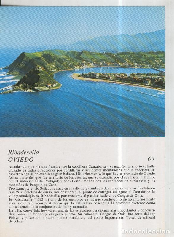 Cartoline: Laboratorio Emyfar S.L.: Imagen 065: Ribadesella en Oviedo - Varios