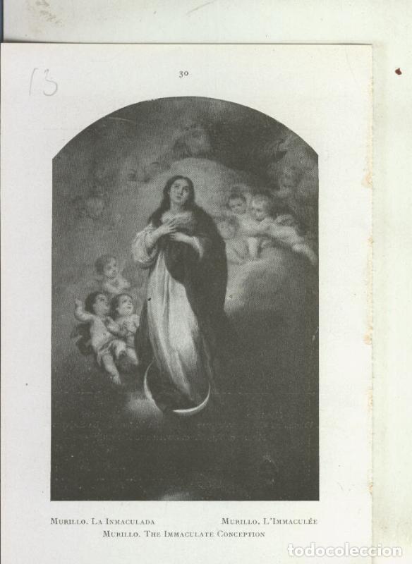 Postkarten: Museo de pinturas de Sevilla: lamina 13: La Inmaculada de Murillo - Varios