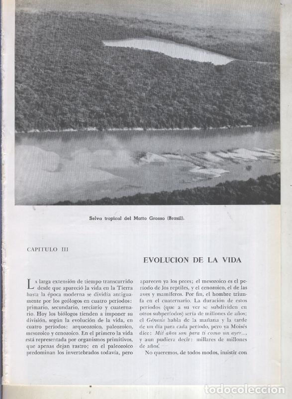 Cartes Postales: Jose Pijoan: Historia del Mundo volumen 1, capitulo 03: Evolucion de la vida - Varios