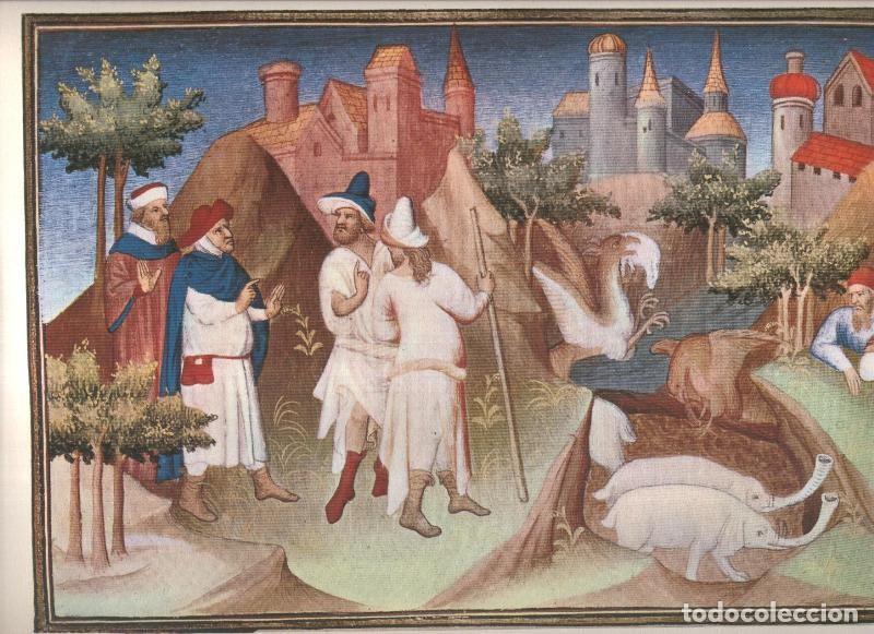 Postcards: El Libro de las maravillas de Marco Polo, lamina 12 - Varios