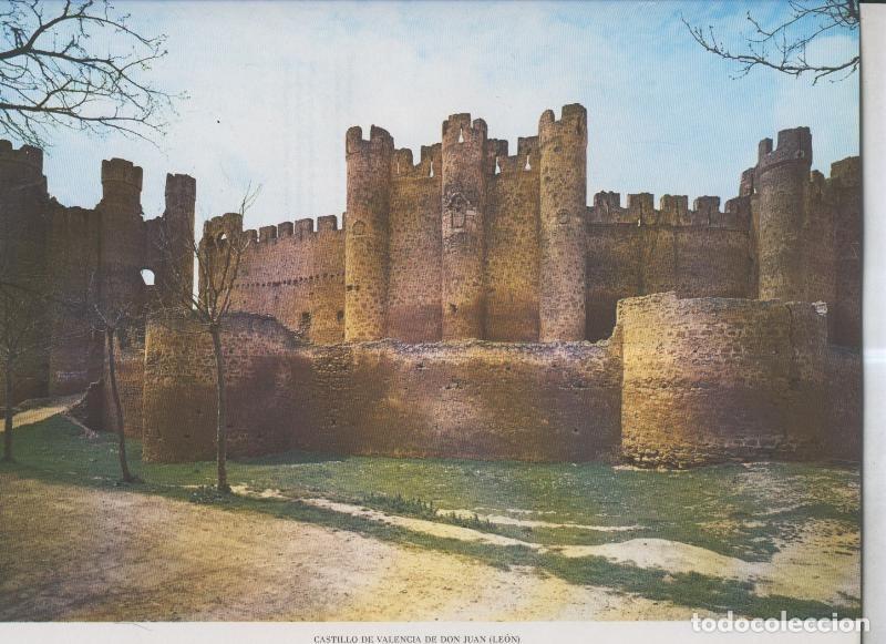 Cartoline: Castillo de Valencia de Don Juan (Leon) - Varios