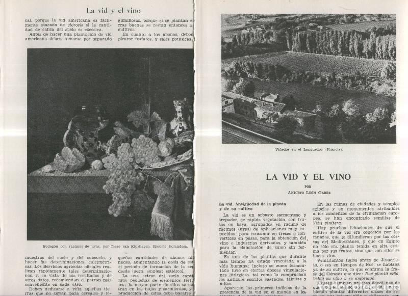 Postkarten: La vid y el vino por Aniceto leon Garre - Varios