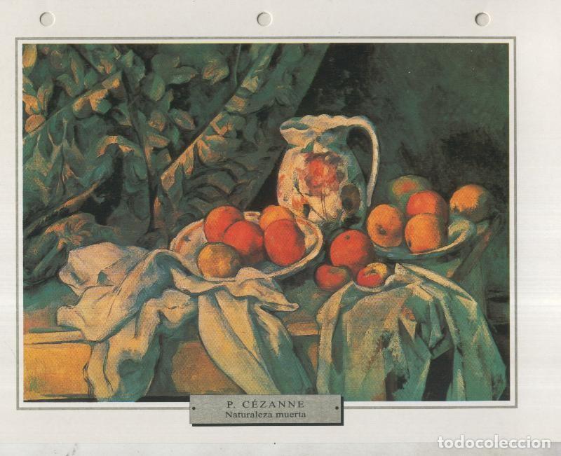 Postales: Lamina 09: Paul Cezanne: Naturaleza muerta con cortinaje - Varios