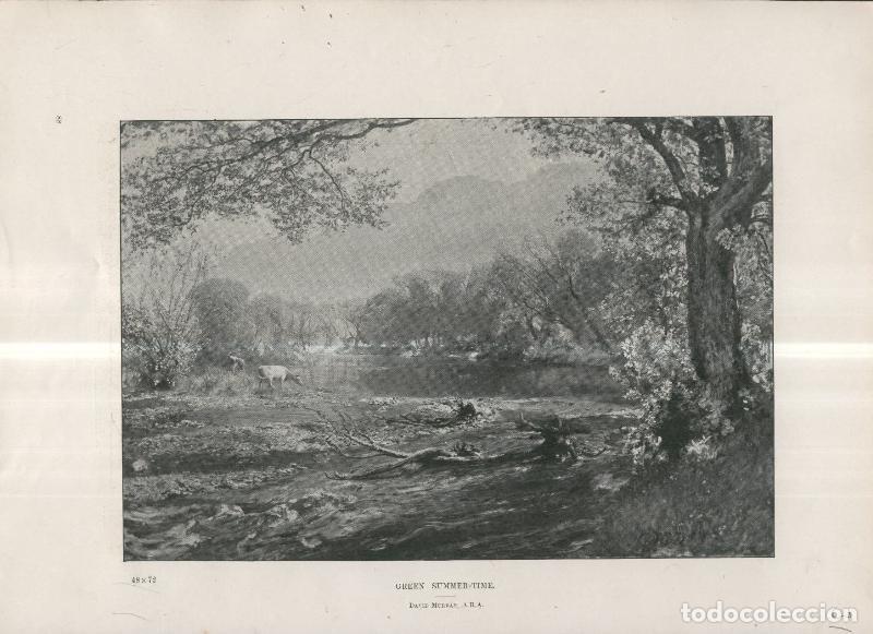 Cartes Postales: Lamina 031: Green Summer Time por David Murray - Varios