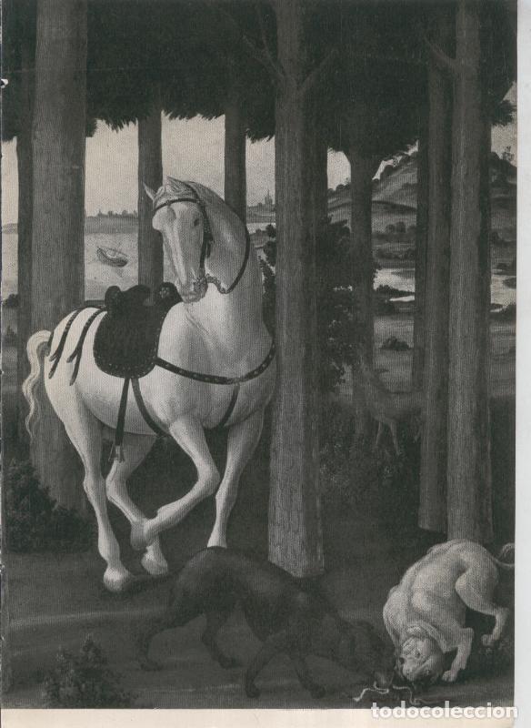 Cartoline: La coleccion Cambo, lamina A: Sandro Botticelli: pormenor de la segunda - F.J.Sanchez Canton
