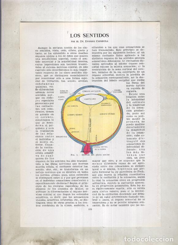 Postkarten: Los sentidos por Dr. Enrique Capdevila - Varios
