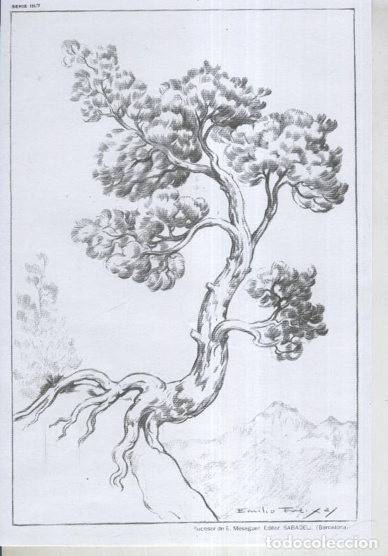 Cartoline: Emilio Freixas serie 03 lamina 07 - Varios