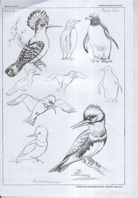 Postales: Emilio Freixas serie 46 lamina 12 - Varios