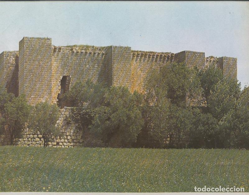 Postkarten: Castillo de Villalba de los Alcores (Valladolid) - Varios