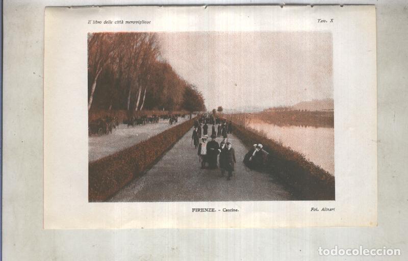 Postais: Lamina 10: Firenze, cascine - varios