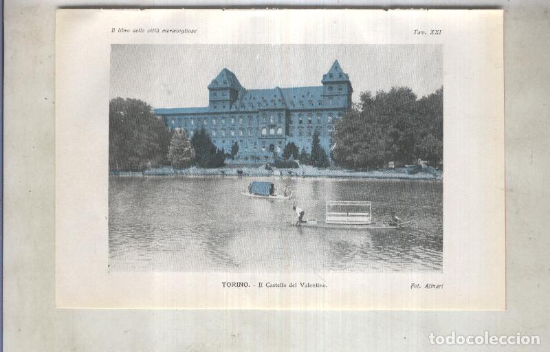 Cartoline: Lamina 21 Torino: Il castello del Valentino - varios