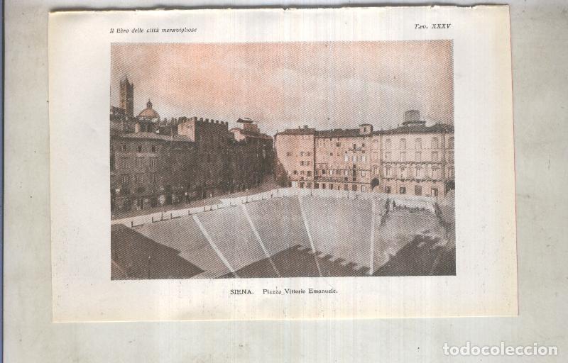 Postcards: Lamina 35: Siena: Piazza Vittorio emanuele - varios