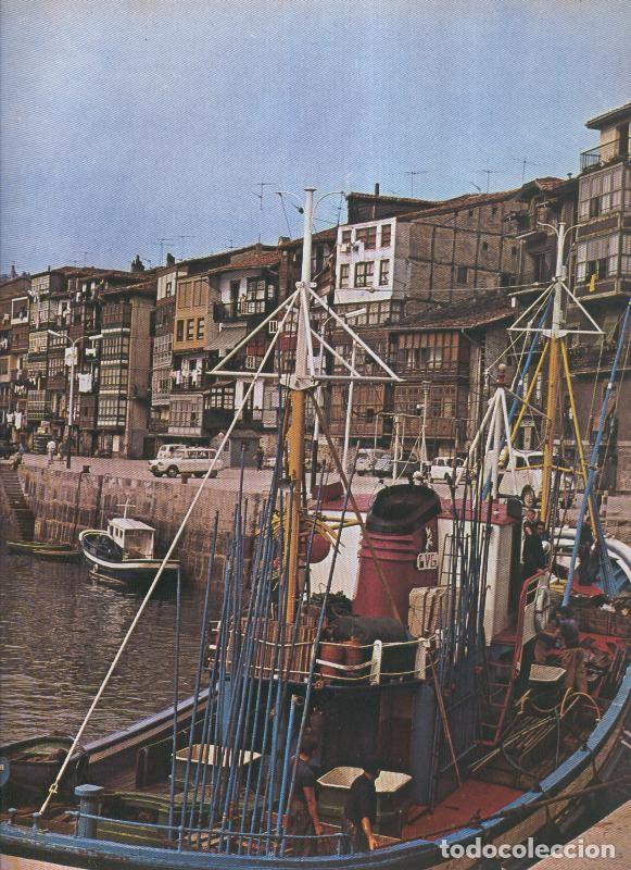 Postales: Album Grafico de Espa&ntilde;a lamina 75: Lequeitio, Vizcaya - Varios