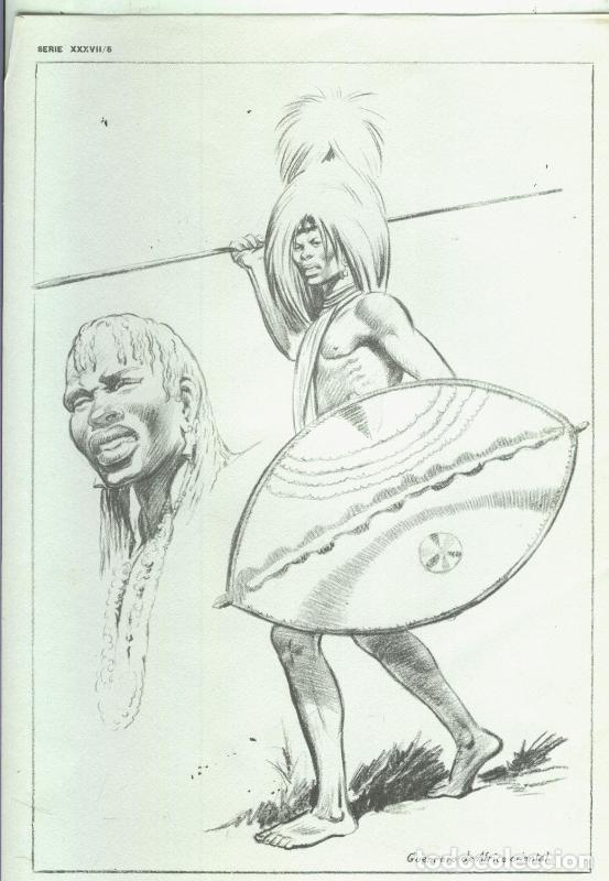 Cartoline: Lamina Emilio Freixas serie XXXVII numero 05: Guerrero de africa oriental - Varios