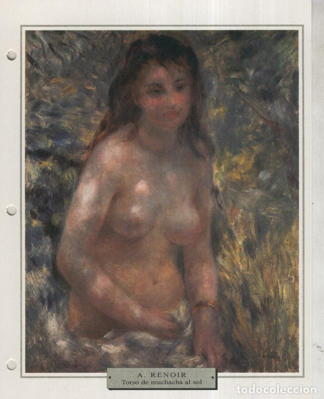 Postales: Lamina 37: Auguste Renoir: Torso de muchacha al sol - Varios