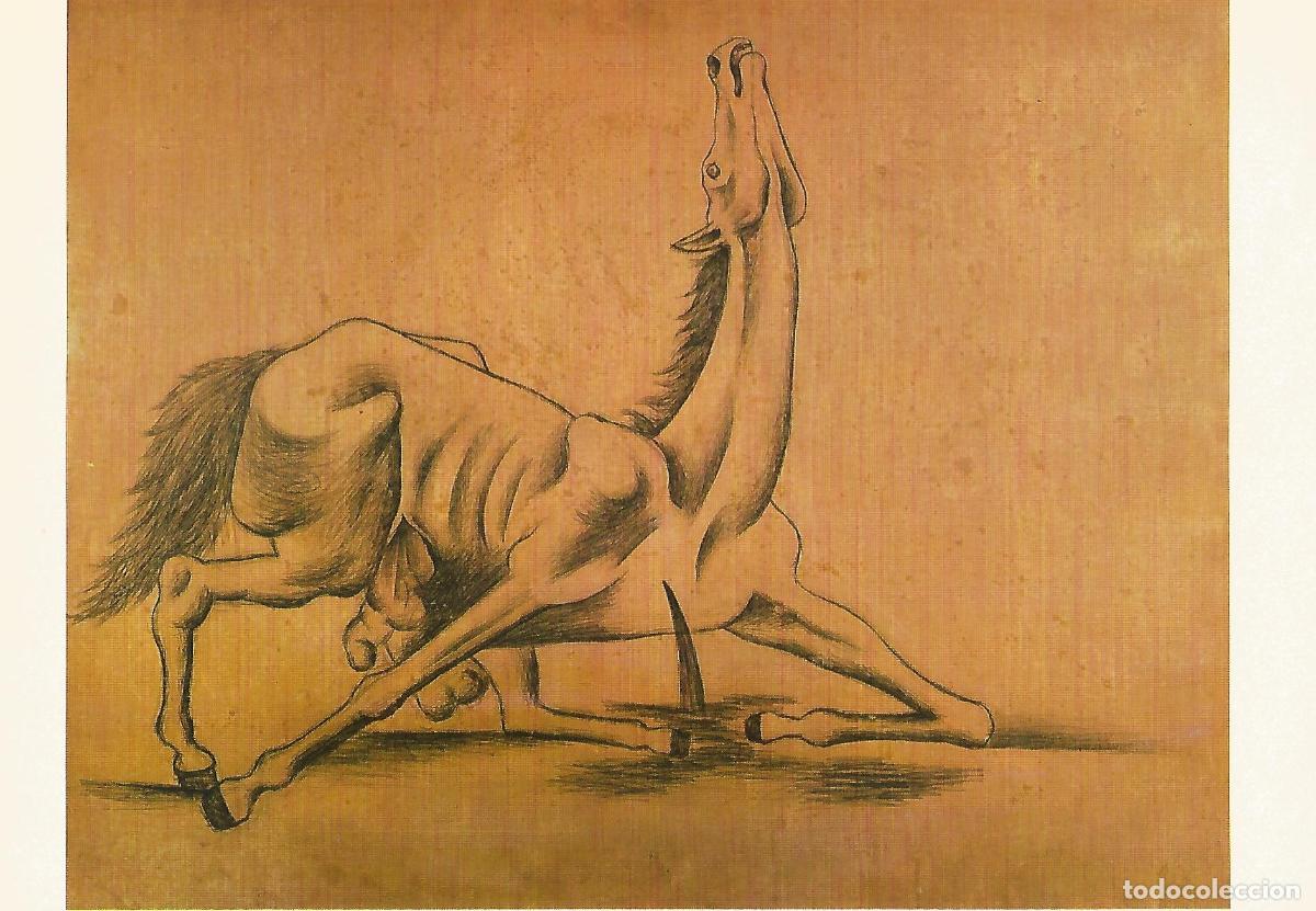 Cartes Postales: Lamina 065: Picasso. Caballo corneado - VVAA