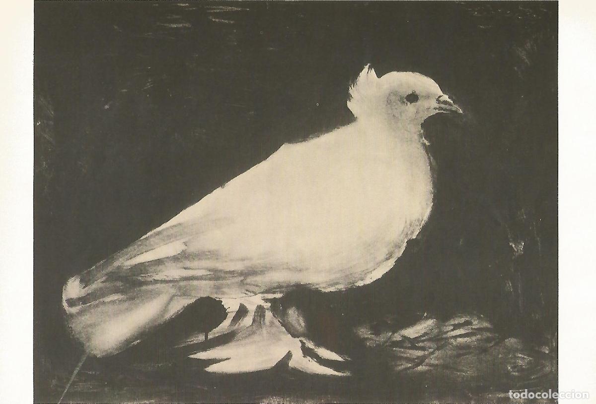 Postkarten: Lamina 073: Picasso. Paloma sobre fondo negro - VVAA