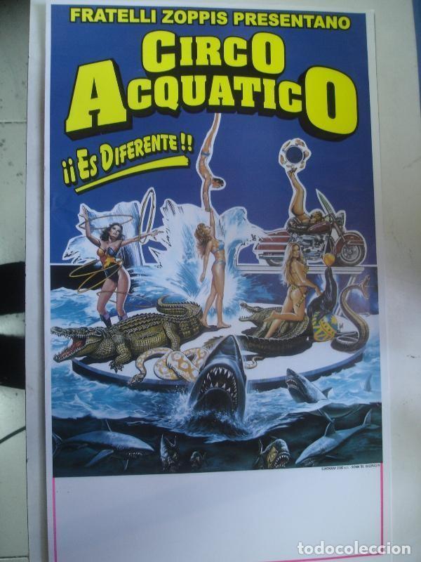 Postales: Circo Acquatico - Varios