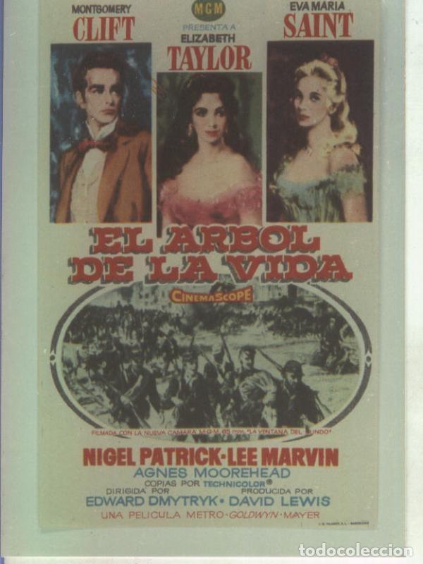 Postales: Foto cine 113: El arbol de la vida (Montgomery Clift-Elizabeth Taylor) - Varios