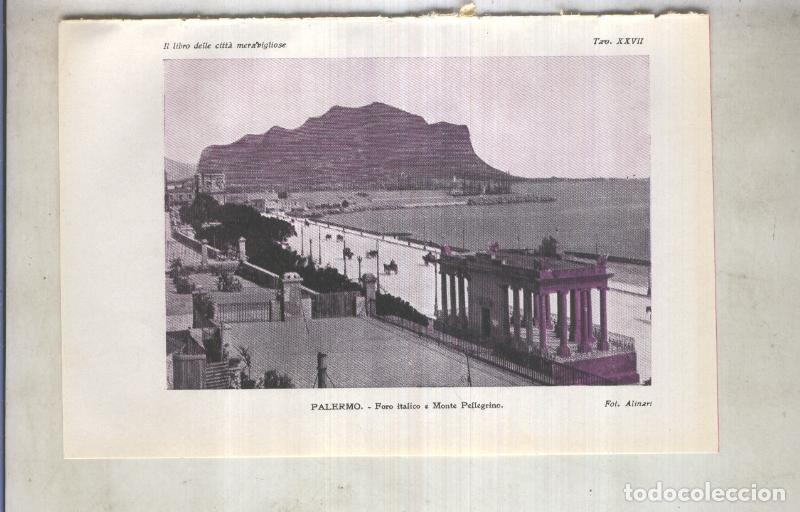 Cartes Postales: Lamina 27: Palermo: Foro italico a Monte Pellegrino - varios