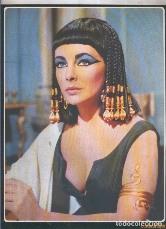 Postales: Galeria de estrellas lamina numero 036: Elizabeth Taylor - Varios