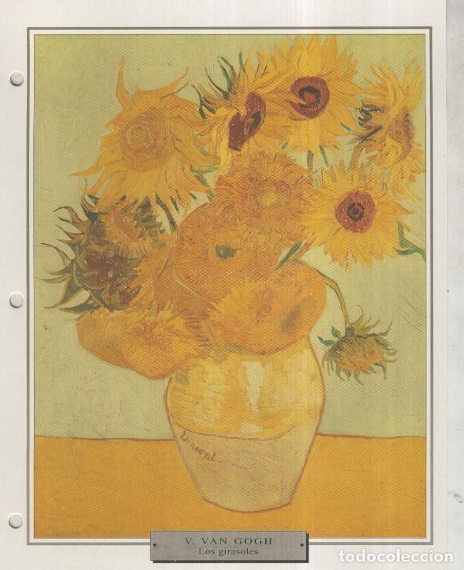 Postkarten: Lamina 50: Van Gogh: Los girasoles - Varios
