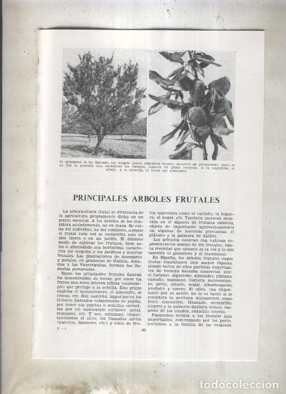 Postales: Principales arboles frutales - Varios