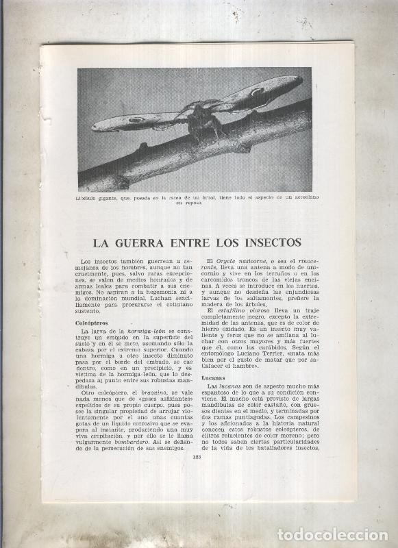 Postcards: La guerra entre los insectos - Animales flores - Varios