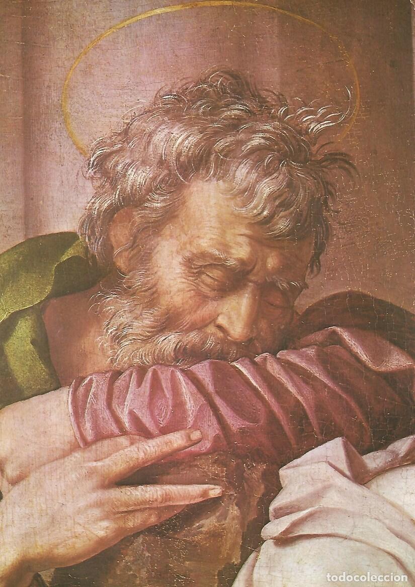 Cartoline: Lamina 085: Jacopo Pontormo: Sagrada Familia - VV.AA.