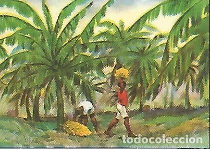 Cartes Postales: CROMO CHOCOLATES BATANGA - Album no 1 A traves de Africa. Serie X. Cromo no 10.El platanar - Vario