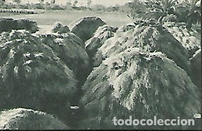 Postcards: CROMO GALLINA BLANCA - 2o Album. Serie 70 Hacienda rural Gallina Blanca. No 8 - Varios