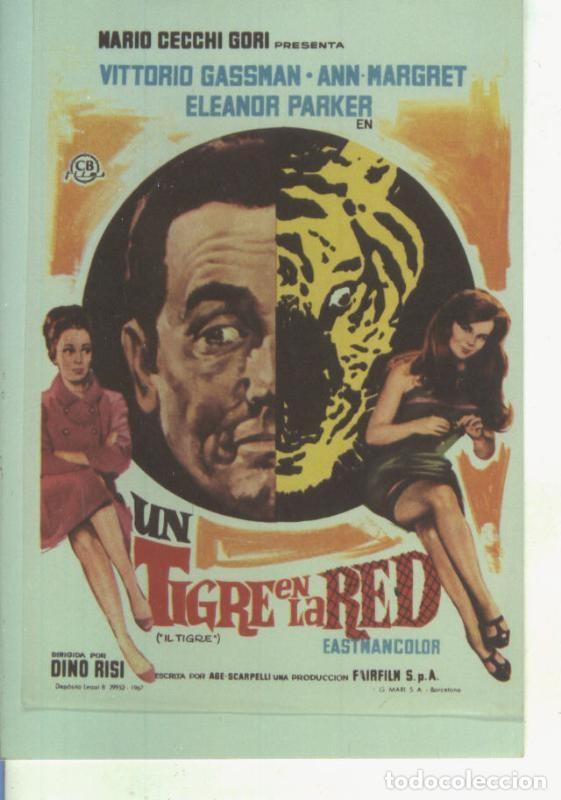 Postcards: Foto cine 527: Un tigre en la red (Vittorio Gassman-Ann Margret) - Varios