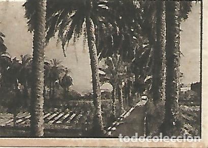 Postcards: CROMO GALLINA BLANCA - 2o Album. Serie 91 Palmeras de Barcelona. No 1 - Varios