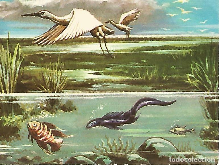Cartes Postales: CROMO EL ANTIGUO TESTAMENTO - no7. El quinto dia - Varios