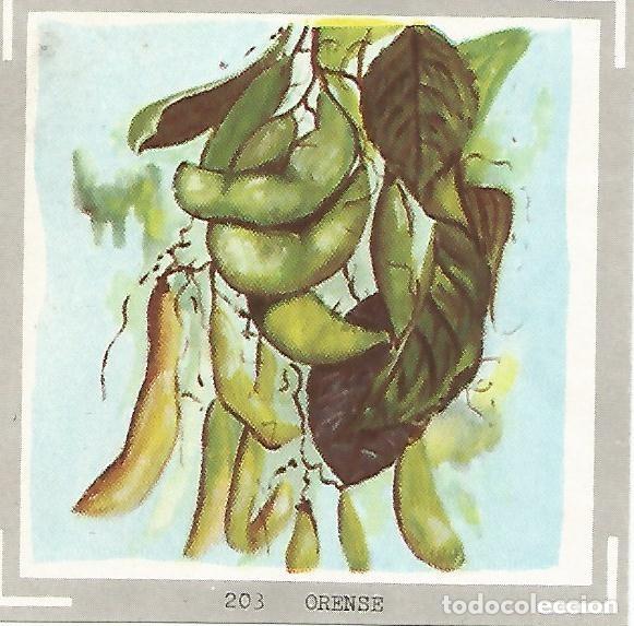 Postales: CROMO no 203. Orense - Varios - Foto 1