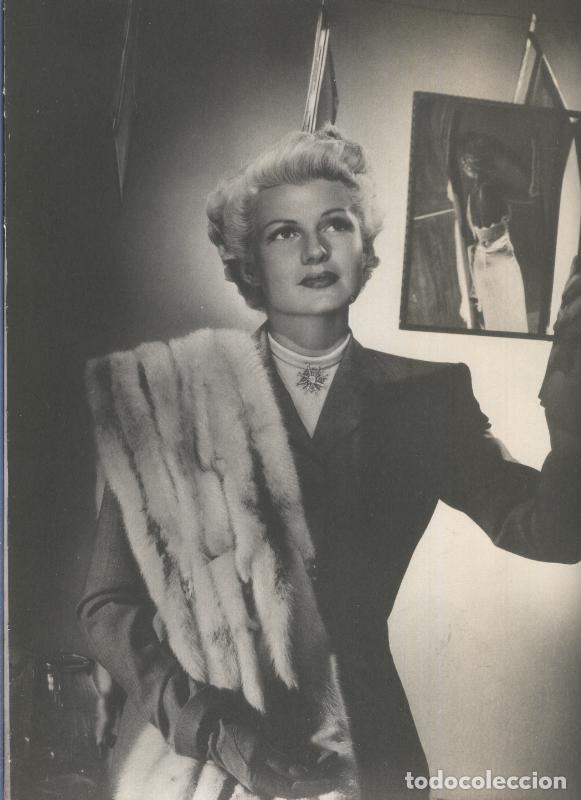Postales: Lamina 24: Rita Hayworth - Varios