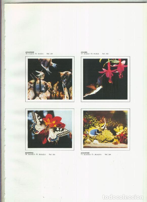 Postkarten: El Arte a su alcance lamina 22: Fauna y flora: Acuarium, Colibri, Mariposa - Jaime-Juan Pablo