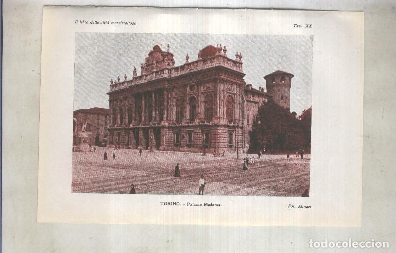 Postales: Lamina 20: Torino: Palazzo Madama - varios