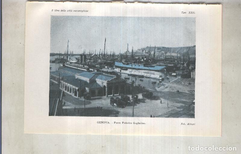 Postales: Lamina 23: Genova: Ponte Federico Guglielmo - varios