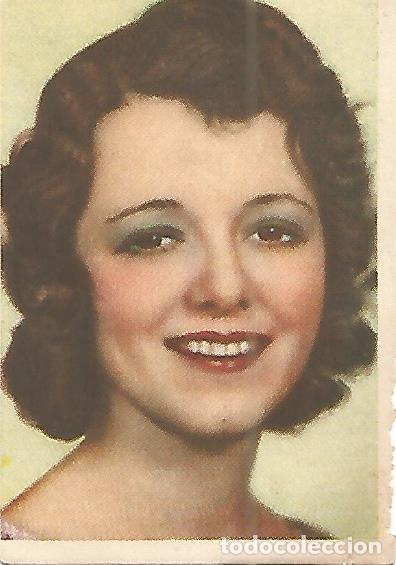 Cartes Postales: CROMO CINEFOTO 059: Janet Gaynor - Varios