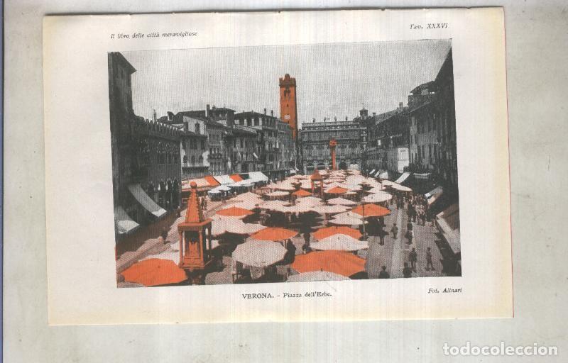 Postais: Lamina 36: Verona: Piazza dell Erbe - varios
