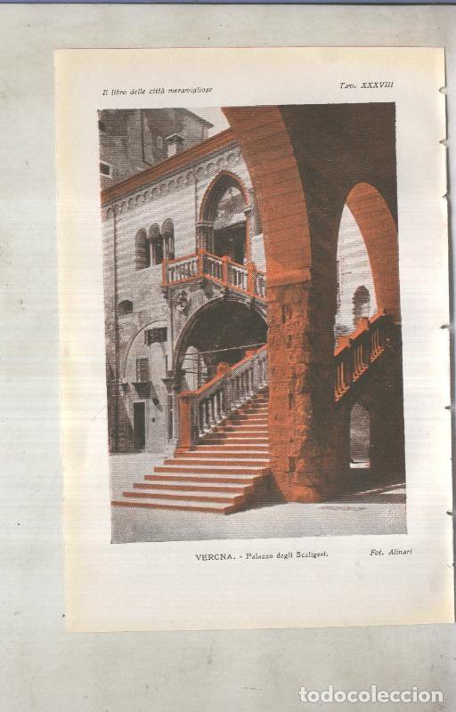 Cartoline: Lamina 38: Verona: Palazzo degli Scaligeri - varios